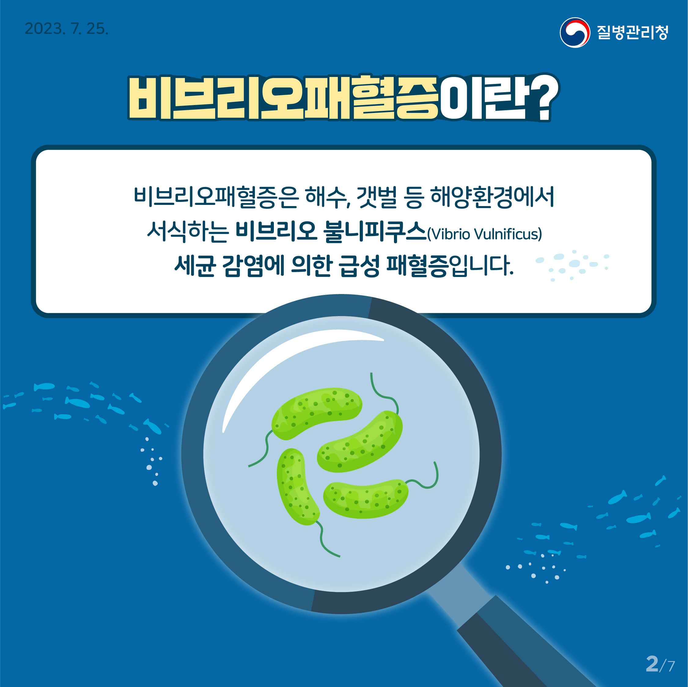 비브리오패혈증 발생 증가, 고위험군 주의 필요! 이미지 2