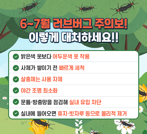 .6~7월 러브버그 주의보! 이렇게 대처하세요
밝은색 옷보다 어두운색 옷 착용
사체가 쌓이기 전빠르게 세척
살충제는 사용 자제
야간 조명 최소화
문튼 방충망을 점검해 실내 유입 차단
실내에 들어오면휴지 빗자루 등으로 물리적 제거