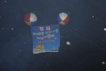 신년소망 해맞이 축제 의 사진3