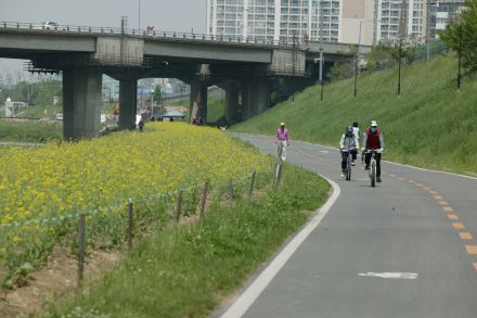 금천한내 자전거도로 의 사진3