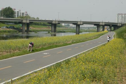 금천한내 자전거도로 의 사진13