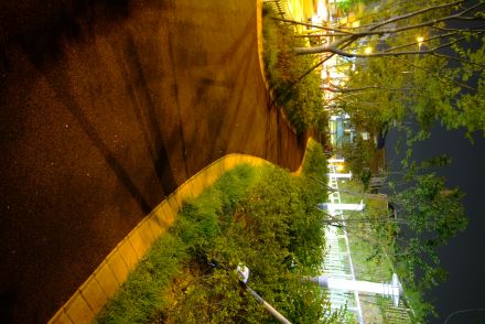 화보-금빛공원(화보) 의 사진143