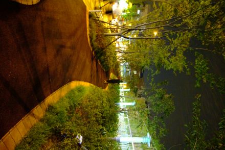 화보-금빛공원(화보) 의 사진144