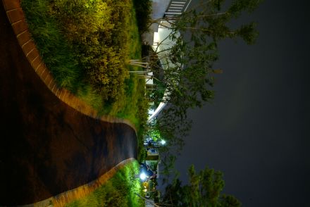 화보-금빛공원(화보) 의 사진146