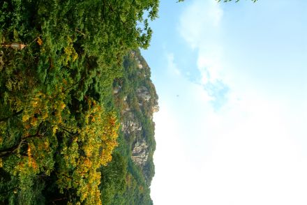 호암산(화보) 의 사진155