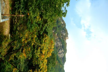 호암산(화보) 의 사진156