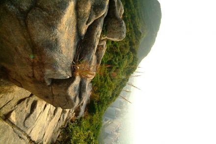 호암산(화보) 의 사진241