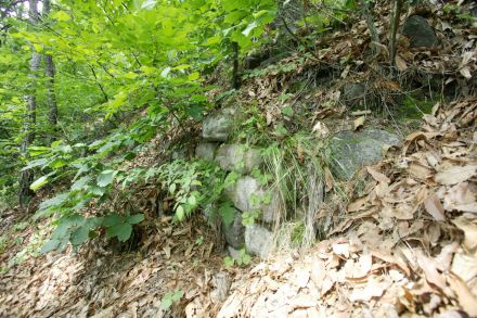 호암산(한우물,금천구전경,석구상,제2한우물터) 의 사진61