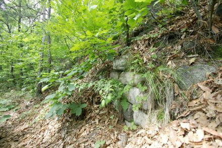 호암산(한우물,금천구전경,석구상,제2한우물터) 의 사진62