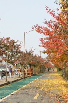 가을 금천한내 의 사진2