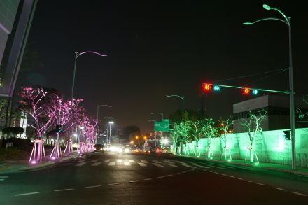 도로조명 촬영 의 사진1