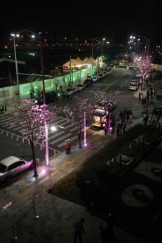 벚꽃축제-청사광장주변 야경 의 사진8