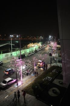 벚꽃축제-청사광장주변 야경 의 사진10
