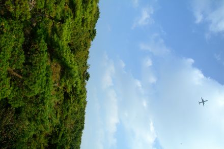 호암산(화보) 의 사진452