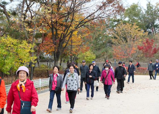 대한노인회 금천구지회 '어르신 건강걷기 대회' 대표사진