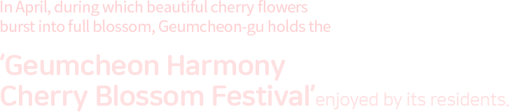 n April, during which beautiful cherry flowers burst into full blossom, Geumcheon-gu holds the ‘Geumcheon Harmony Cherry Blossom Festival’enjoyed by its residents. 
