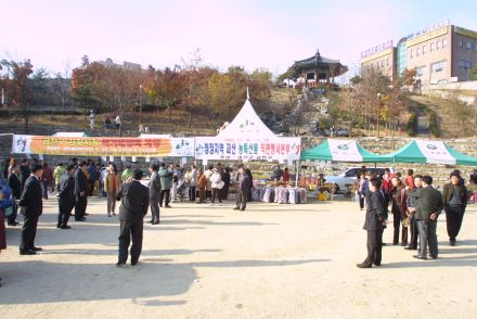 김장채소 직거래 행사 - 괴산군 의 사진31