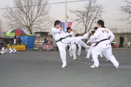 2006 금천벚꽃축제 의 사진68