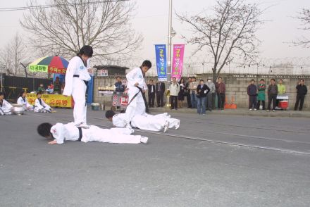 2006 금천벚꽃축제 의 사진70