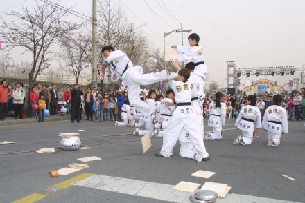 2006 금천벚꽃축제 의 사진78