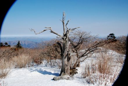 구청산악회 덕유산행 사진 의 사진