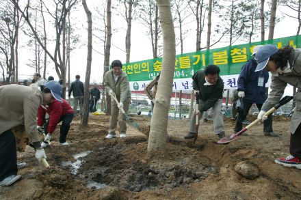 2004 서울의 숲 시민가족 나무심 의 사진13