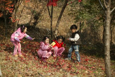 가을단풍과 아이들 의 사진3