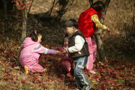 가을단풍과 아이들 의 사진4