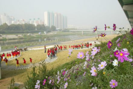 관내보육시설 어린이 금천한내(안양천) 걷기 대회 의 사진9