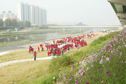 관내보육시설 어린이 금천한내(안양천) 걷기 대회 의 사진20