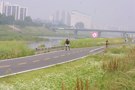 금천한내(자전거도로) 의 사진14