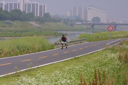 금천한내(자전거도로) 의 사진16