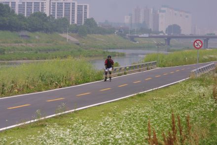 금천한내(자전거도로) 의 사진18