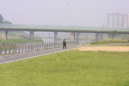 금천한내(자전거도로) 의 사진43