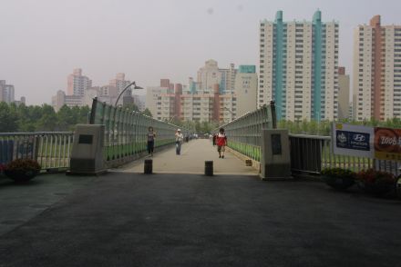 금천한내(자전거도로) 의 사진61