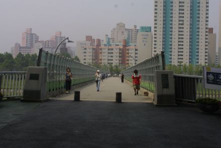 금천한내(자전거도로) 의 사진62