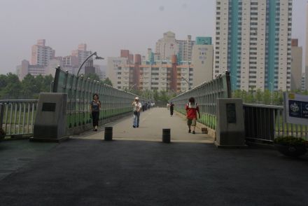 금천한내(자전거도로) 의 사진63