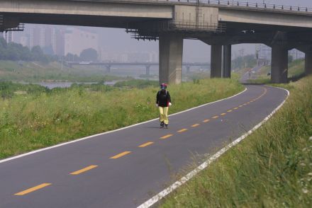금천한내(자전거도로) 의 사진78