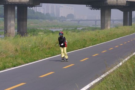 금천한내(자전거도로) 의 사진81