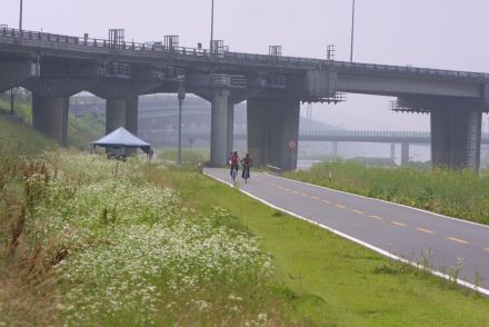 금천한내(자전거도로) 의 사진105