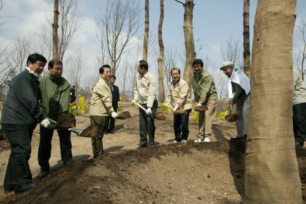 2004 서울의 숲 시민가족 나무심 의 사진38