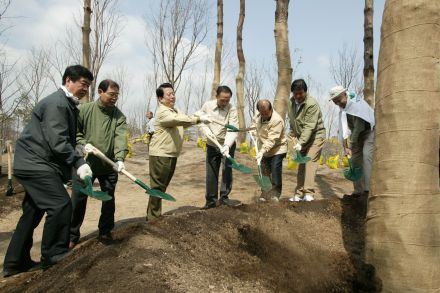 2004 서울의 숲 시민가족 나무심 의 사진43