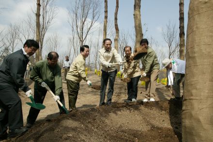 2004 서울의 숲 시민가족 나무심 의 사진44