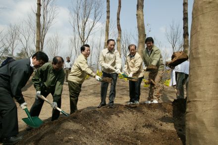 2004 서울의 숲 시민가족 나무심 의 사진45