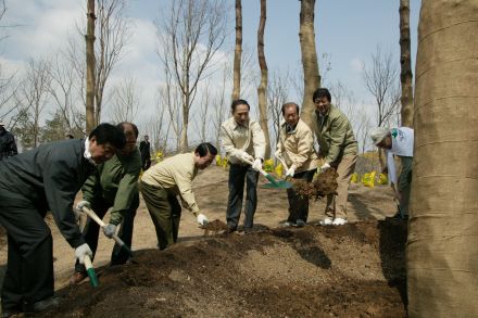2004 서울의 숲 시민가족 나무심 의 사진46