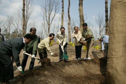 2004 서울의 숲 시민가족 나무심 의 사진47