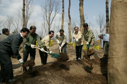 2004 서울의 숲 시민가족 나무심 의 사진48