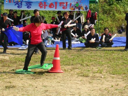 시흥3동 체육대회 의 사진18