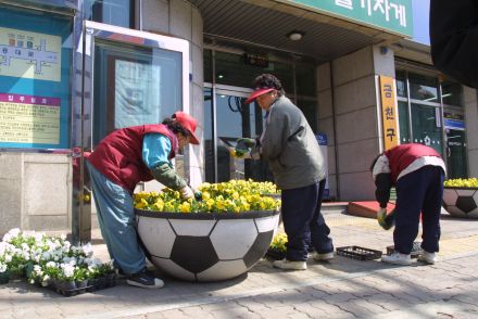 구청 앞 새봄맞이 꽃 단장 의 사진6
