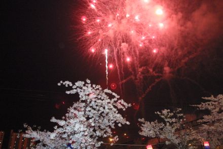 벚꽃축제 불꽃놀이 의 사진2